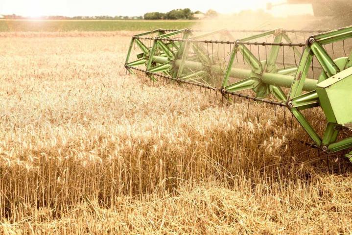 Spécialiste en récolte des céréales Châlons-en-Champagne